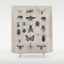 Vintage Insect Study on antique 1800's Ledger paper print Shower Curtain