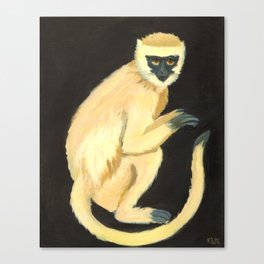 A Monkey Canvas Print