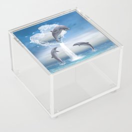 The Heart Of The Dolphins Acrylic Box