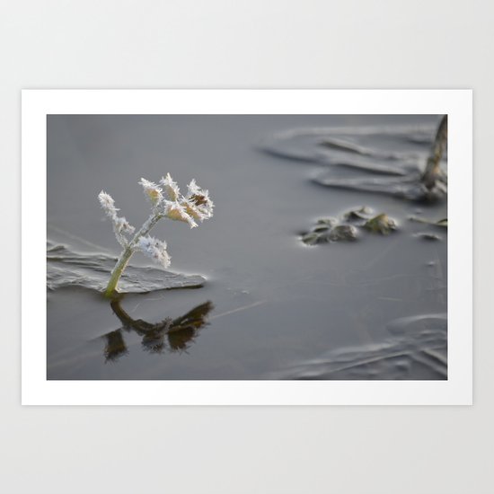 Reflections Art Print