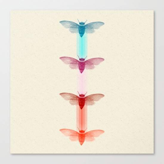 La Polilla Canvas Print