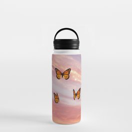 Butterfly Sunset Aesthetic Water Bottle