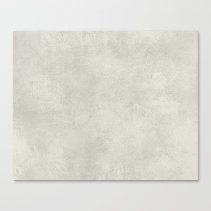 Basic velvety light gray   Canvas Print