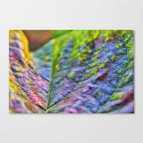 Beauty up close Canvas Print