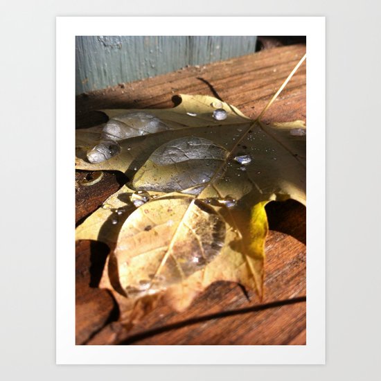 Drops Art Print