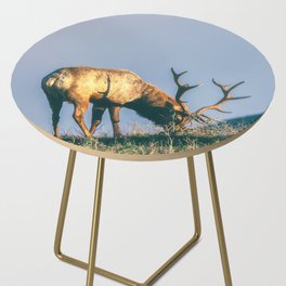 Snack Time Side Table
