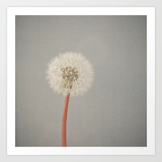 The Passing of Time Art Print