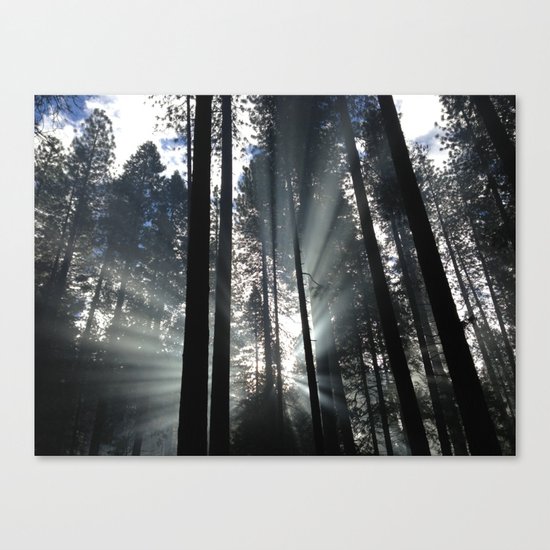 Yosemite National Park, USA Canvas Print