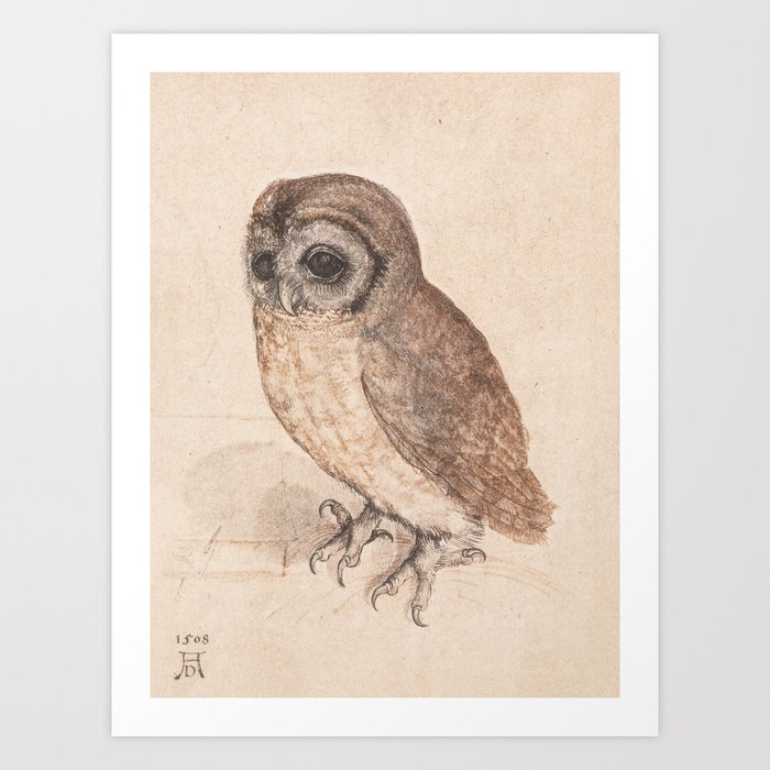 Albrecht Durer The Little Owl Art Poster Art Print