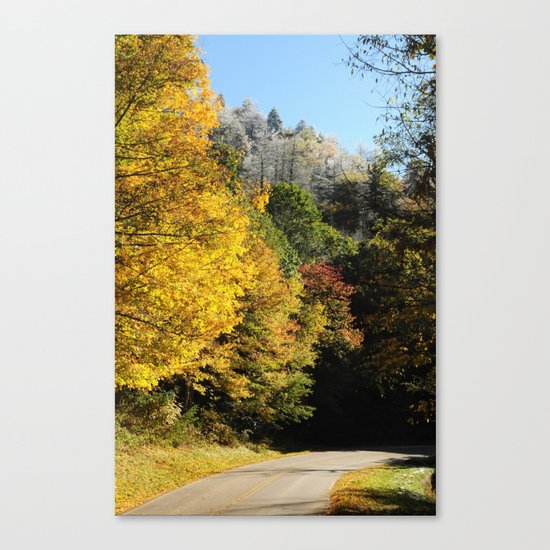 Down this road Canvas Print