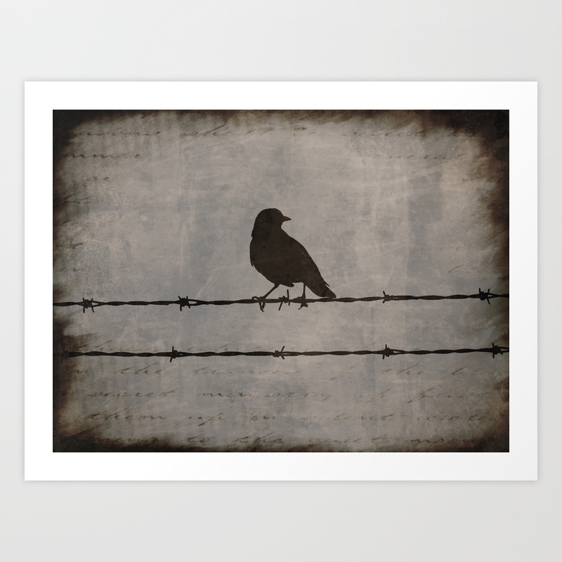 Rustic Black Bird Barbed Wire Modern Country Home Decor Art Matted