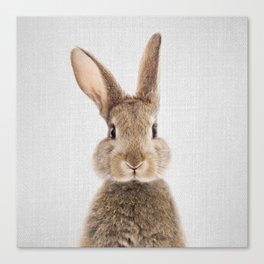 Rabbit - Colorful Canvas Print