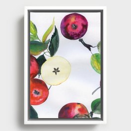apples N.o 3 Framed Canvas