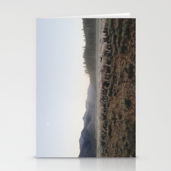Sheep Dust Stationery Cards