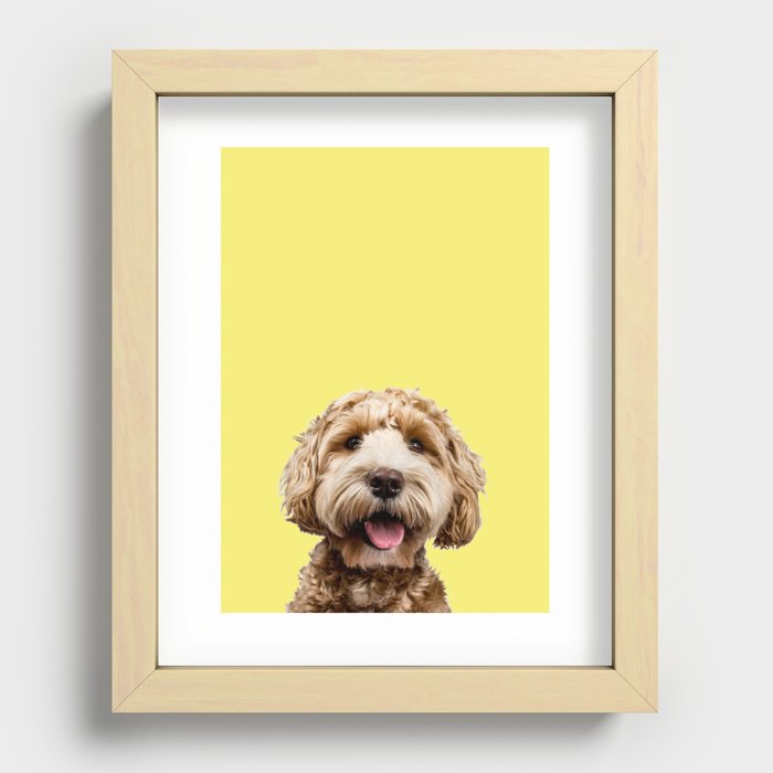 Happy Goldendoodle on Yellow Background Recessed Framed Print