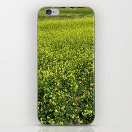 Bohemian summer rapeseed field  iPhone Skin