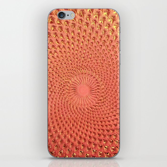 Glass Concentric iPhone Skin