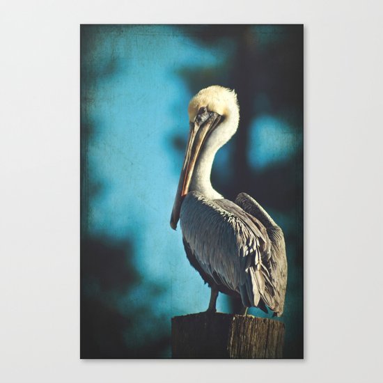 I See You Canvas Print