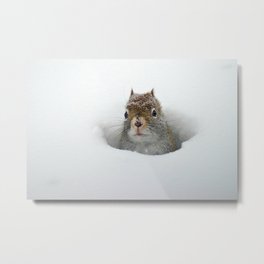 Pop-up Squirrel in the Snow Metal Print