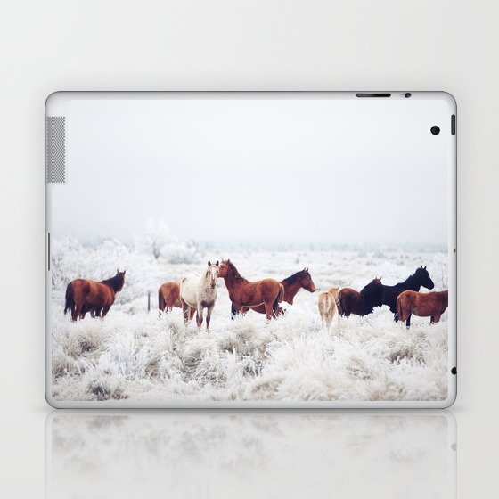 Winter Horseland Laptop & iPad Skin