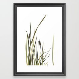 Reed Framed Art Print