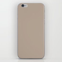 Medium Earthy Gray Beige Solid Color Pairs PPG El Capitan PPG1020-4 All Color Single Shade Hue iPhone Skin