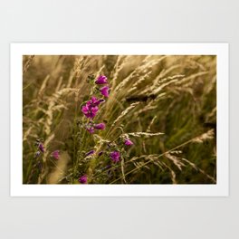 Pink flowers | Dutch Glory photography | Netherlands | natural colors Art Print