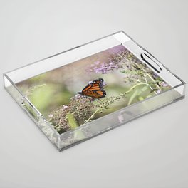 Monarch Butterfly Acrylic Tray