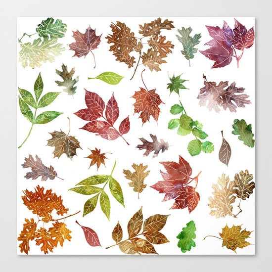 Color Nature! Canvas Print