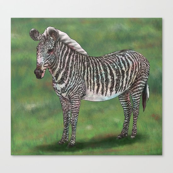 Zebra Canvas Print