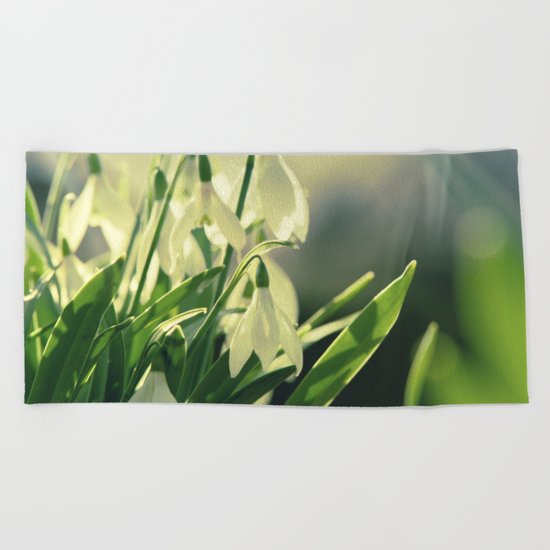 Snowdrops impression from the garden Beach Towel