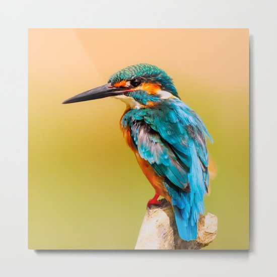 Radiant Bird Metal Print