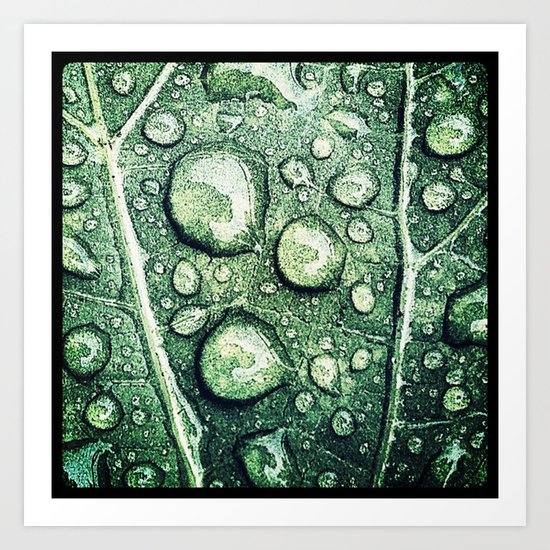 LEAF 002 Art Print