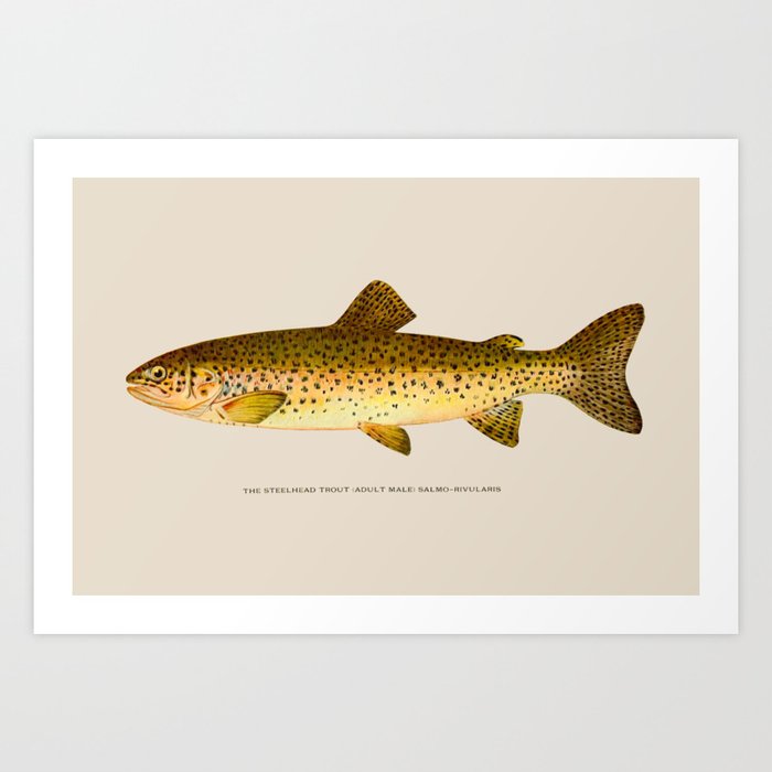 Art Print