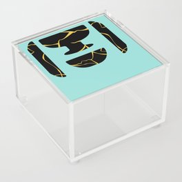 Kintsugi Bowl  Acrylic Box