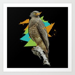 Hawk Ornithology Bird Lover Graphic Hawk Art Print | Wildlife, Bird Lovers, Birding Dad, Wild Birds, Nature Hawk, Funny Ornithology, Bird Watching Mom, Beautiful Bird, Cool Bird Watching, Bird Gift 