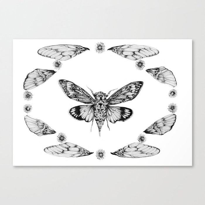 Cicada Summer Canvas Print