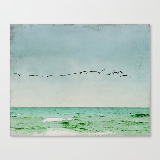 fly away Canvas Print