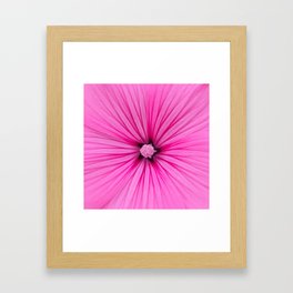 Rose of Sharon Framed Art Print