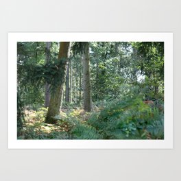 enchanted forest Art Print