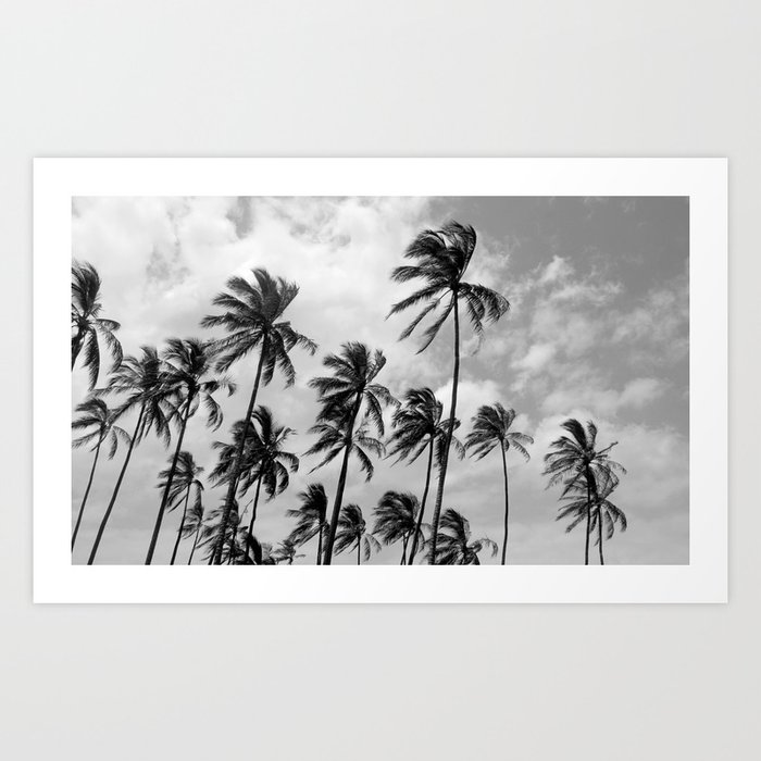 Palm Trees Hawaii Art Print