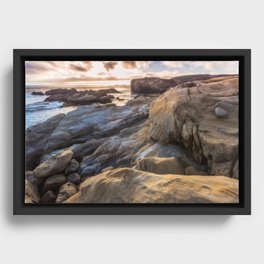 Point Lobos II Framed Canvas