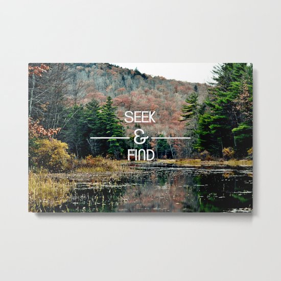 Seek & Find Metal Print