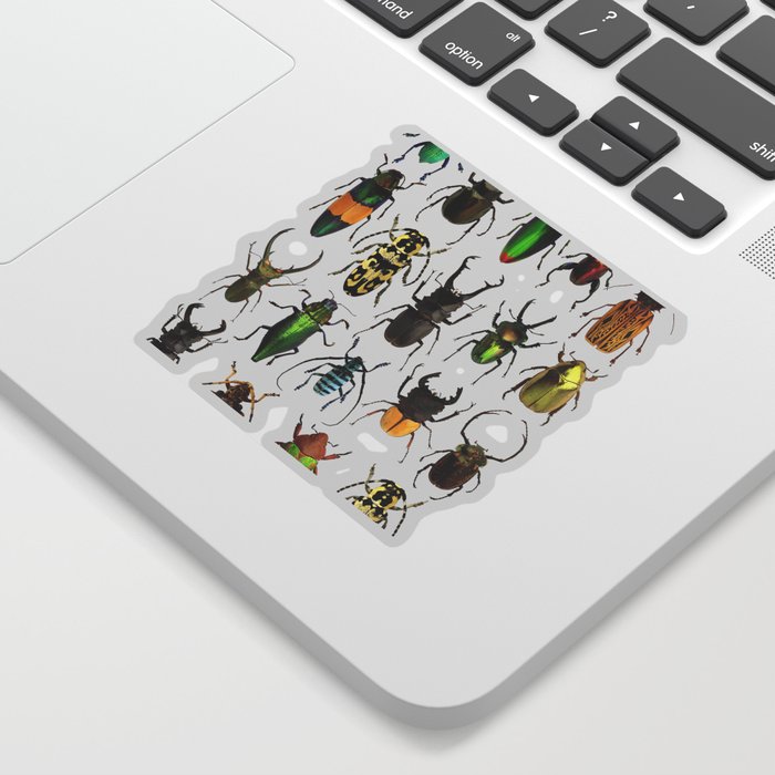 Beetles Collage Sticker