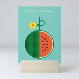 Fruit: Watermelon Mini Art Print