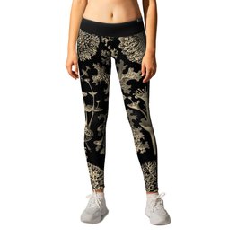 “Lichenes” from “Art Forms of Nature” by Ernst Haeckel Leggings