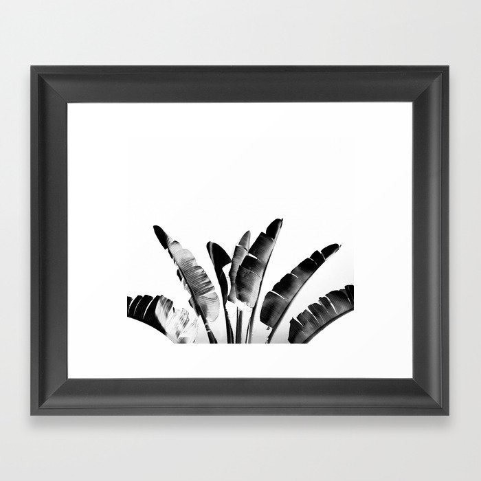Traveler palm - bw Framed Art Print