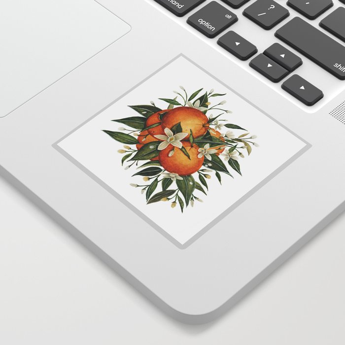 Orange Blossoms Sticker