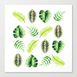 Tropical leaves in green on white Canvas Print