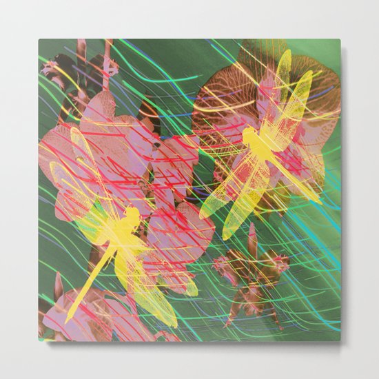 Colorful Dragonflies QY Metal Print